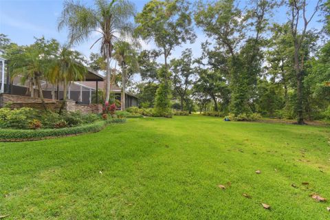 A home in PLANT CITY