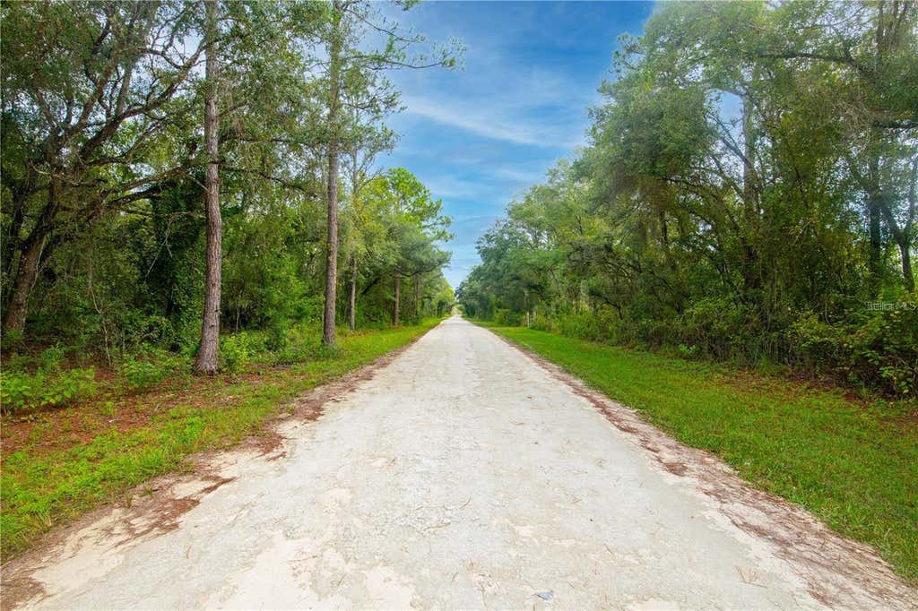 Photo of 7431 Bitternut Avenue, Webster, FL 33597 (MLS # TB8531641)
