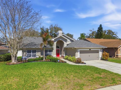 Photo of 905 Clearcreek Drive, Tampa, FL 33613 (MLS # TB8465009)