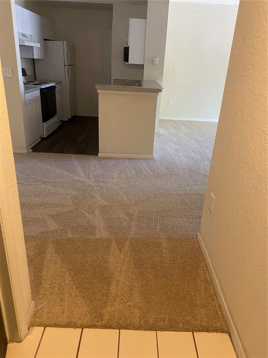 Photo of 17110 Carrington Park Drive #803, Tampa, FL 33647 (MLS # TB8557510)