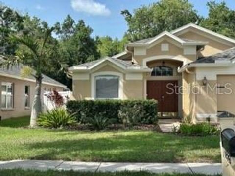 19743 ELLENDALE DRIVE LAND O LAKES FL 34638