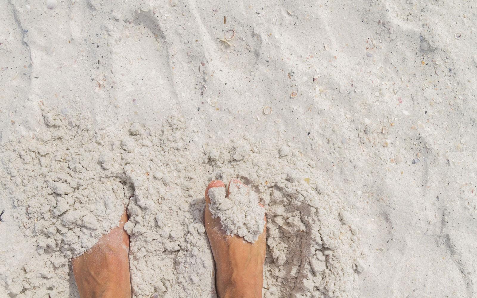 THE ESTATES AT TERRANOVA - Residential