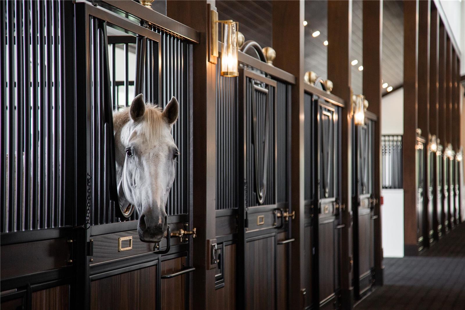 THE ESTATES AT TERRANOVA - Residential