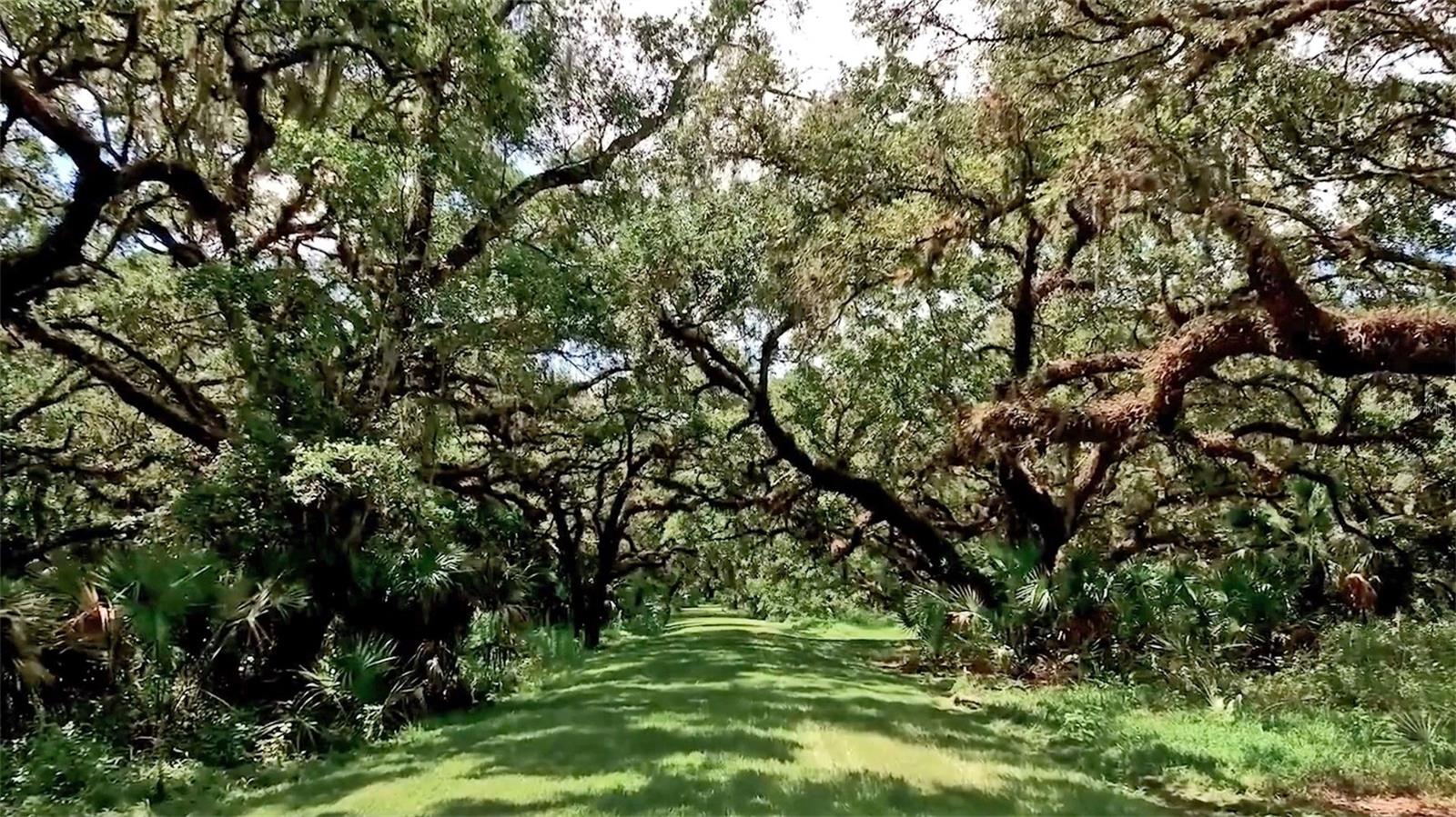 THE ESTATES AT TERRANOVA - Residential