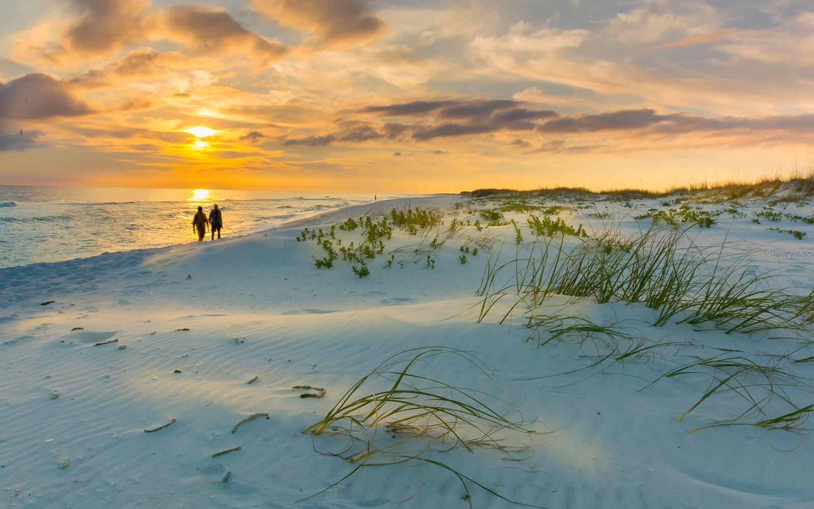 THE ESTATES AT TERRANOVA - Residential