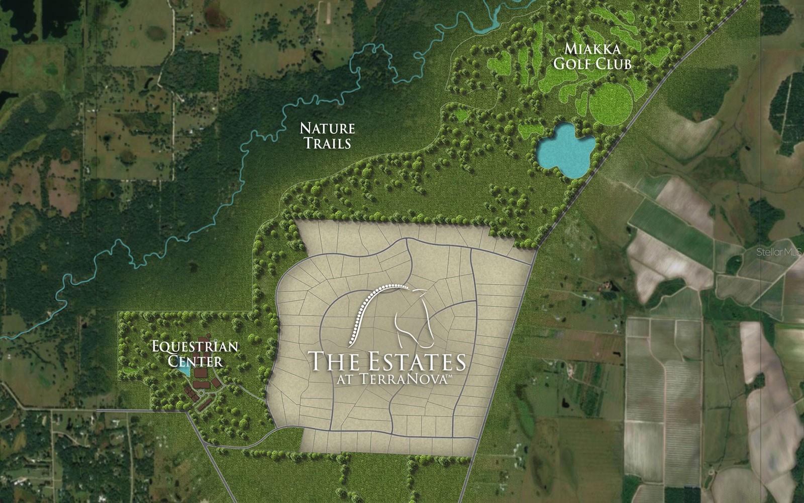 THE ESTATES AT TERRANOVA - Residential