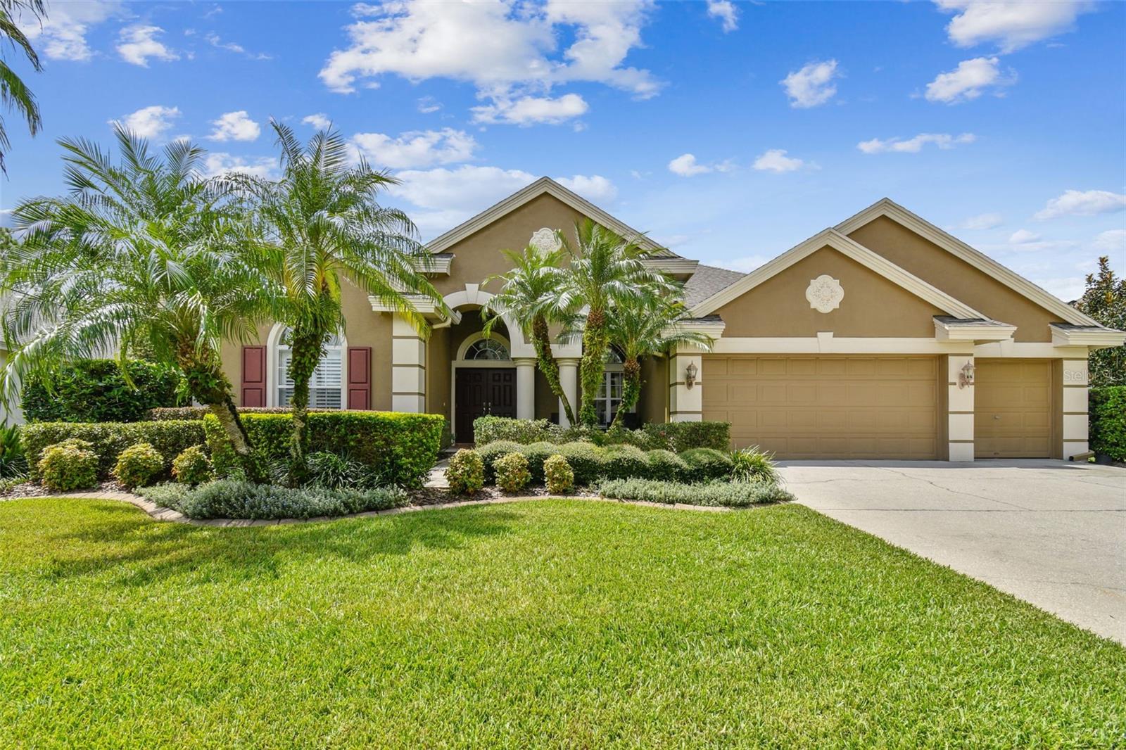 View LAND O LAKES, FL 34639 house