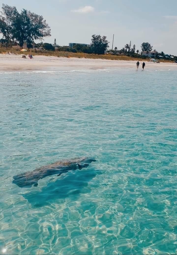 COCONUT BAYOU - Residential