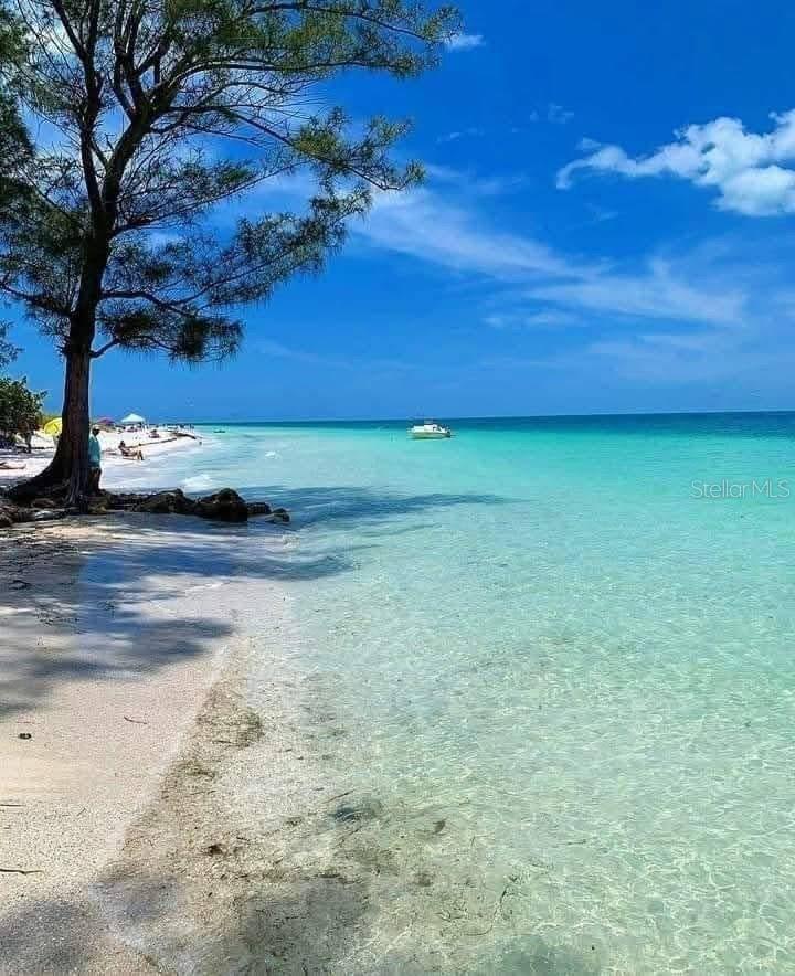 COCONUT BAYOU - Residential