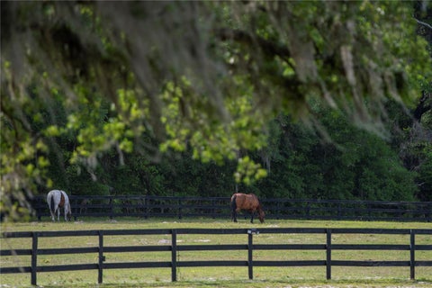 Tiny photo for 14 SW 138th Loop, Dunnellon, FL 34432 (MLS # OM728949)
