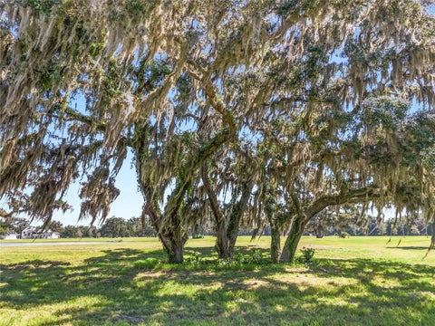 Tiny photo for 14 SW 138th Loop, Dunnellon, FL 34432 (MLS # OM728949)