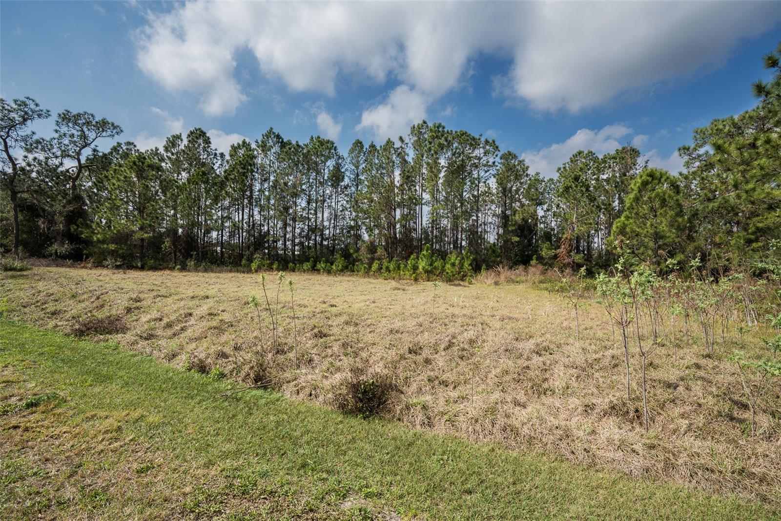 ARROWTREE RESERVE PH II SUB - Land