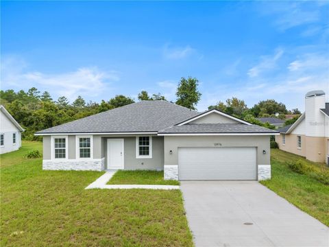 A home in CITRUS SPRINGS