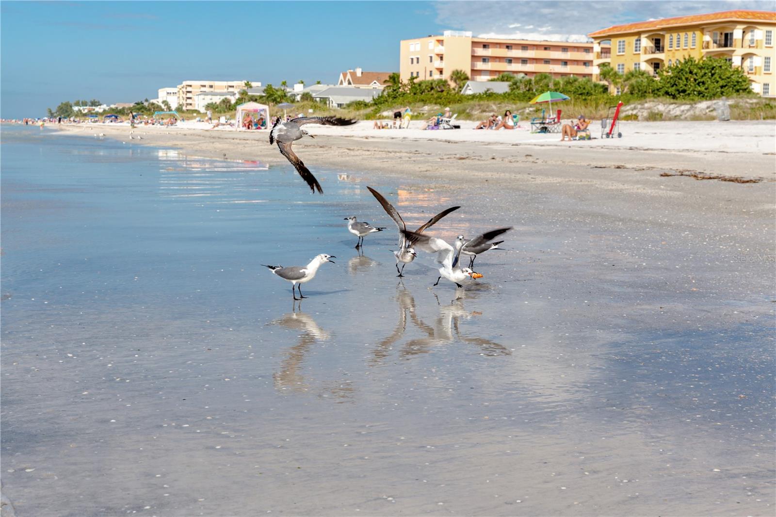 INDIAN BEACH RE-REVISED 21ST ADD - Residential