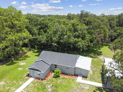 A home in PLANT CITY