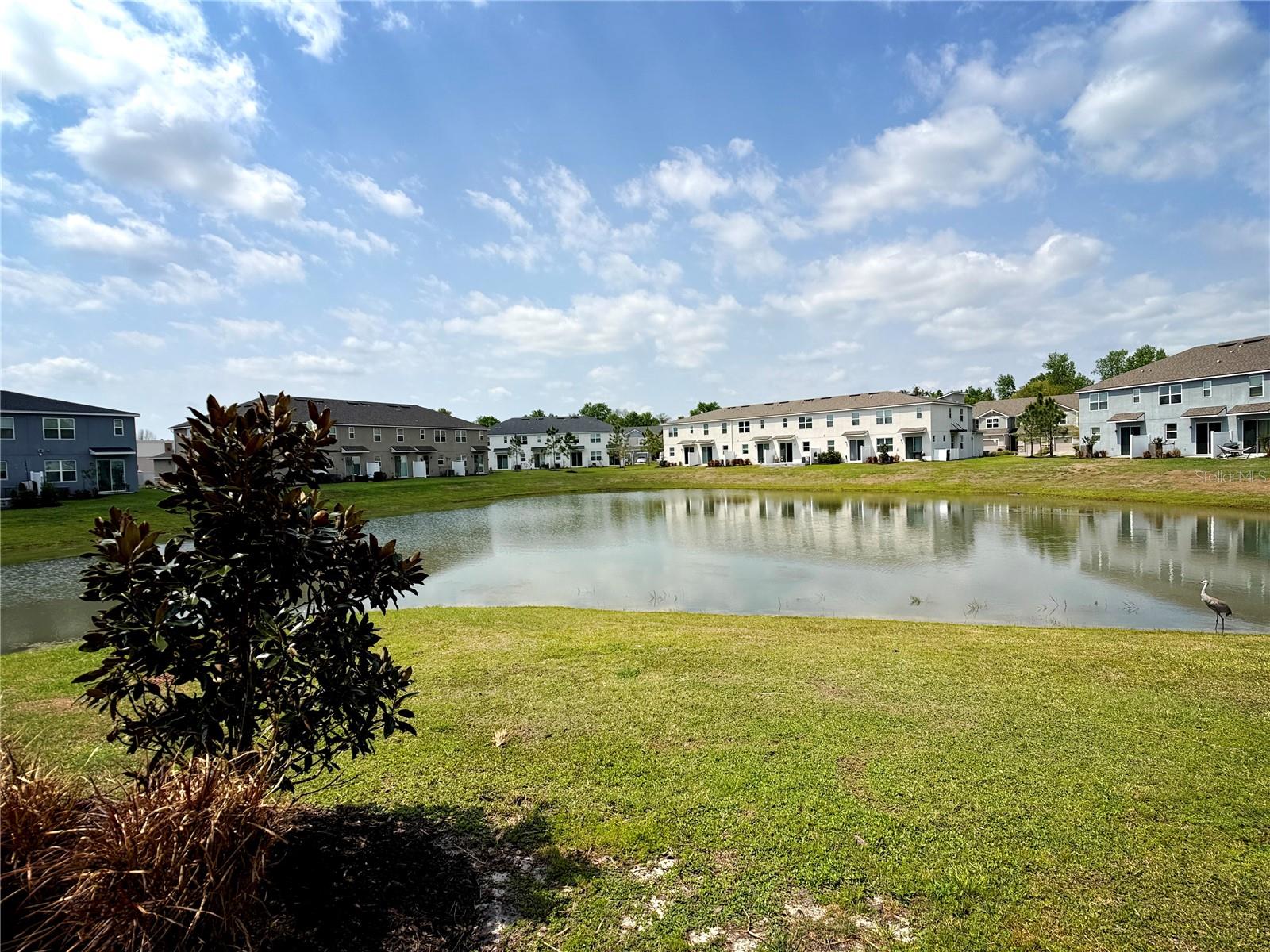 771 SPRING PALMS LOOP