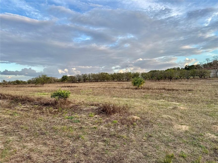 Build Your Dream Home or Invest in Prime Florida Land! This charming 2.92-acre property is nestled in the heart of Weirsdale, FL, offering the perfect blend of rural tranquility and buildable potential. Once home to a thriving orange grove, the land still carries the nostalgic scent of citrus, with mature trees scattered throughout, offering a picturesque setting. The lot is ready for development, making it an ideal canvas for your dream home, a hobby farm, or even a small orchard revival. With ample space to design your perfect retreat, you’ll enjoy a serene, country lifestyle while being just a short drive from local amenities in The Villages and beautiful Lake Weir. Whether you’re looking for privacy, peace, or potential, this property offers it all. There are 3 other lots next to this one that are also for sale.