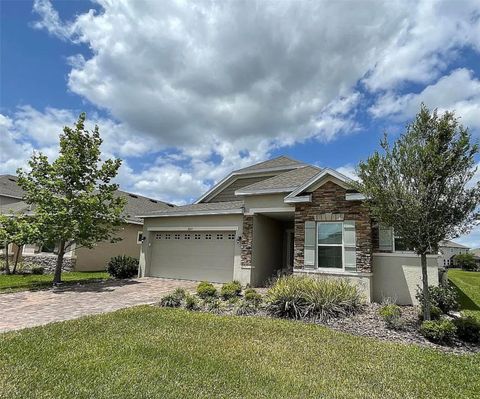 Photo of 8021 Olive Brook Drive, Wesley Chapel, FL 33545 (MLS # O6410642)