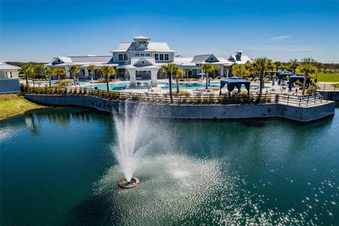 A home in LAND O LAKES