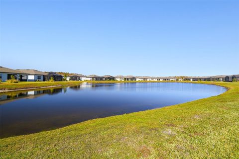 A home in LAND O LAKES