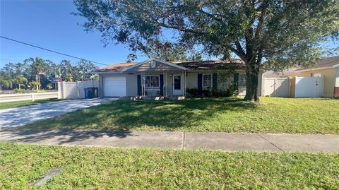 A home in TAMPA