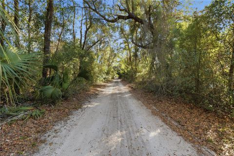 Tiny photo for 6368 E Grantham Court, Hernando, FL 34442 (MLS # TB8484923)