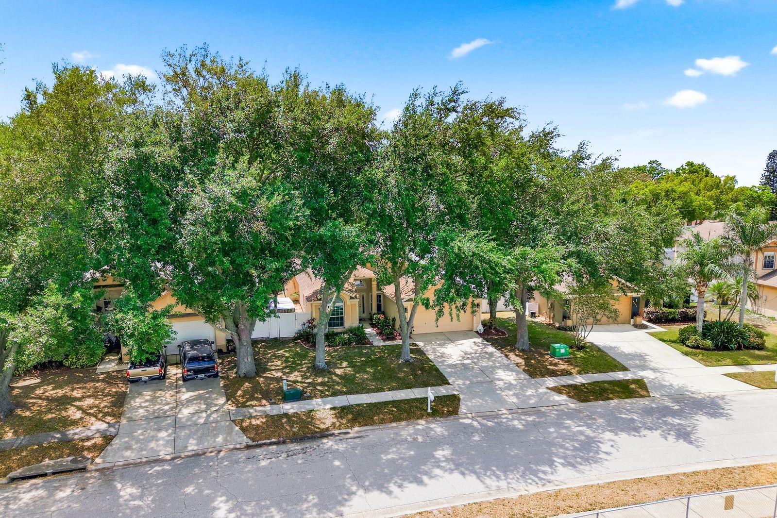 VILLAGE AT BENTLEY PARK PH II TR B-2 - Residential