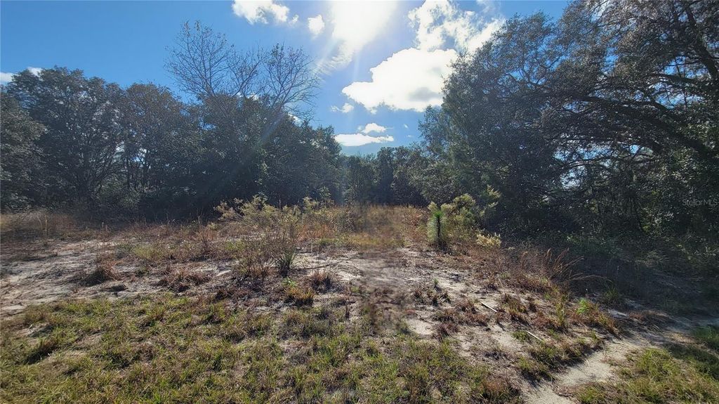 Photo of SW 131st Lane, Ocala, FL 34473 (MLS # O6375754)