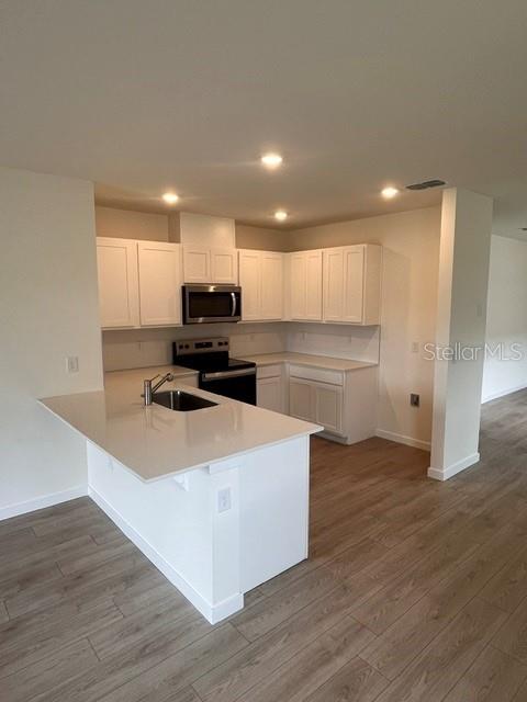 1361 CAMELLIA BLOOM LANE