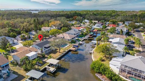 A home in PALM HARBOR