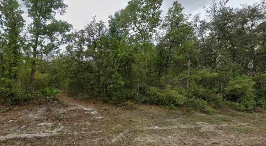 Rare opportunity to secure a highly desirable, buildable residential lot just moments from the historic St. Johns River. This prime 0.23-acre parcel offers exceptional development potential for both owner-occupiers and investors, thanks to its favorable R-2 Two-Family Residential Zoning. 
Buyers are fully responsible for verifying all building, zoning, utility, and improvement requirements with the local municipality to ensure the lot meets their specific development plans.