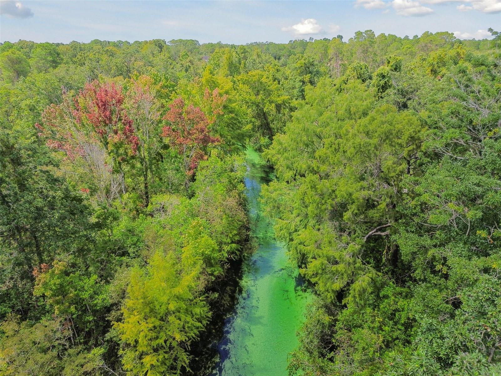 WATERS OF WEEKI WACHEE - Land