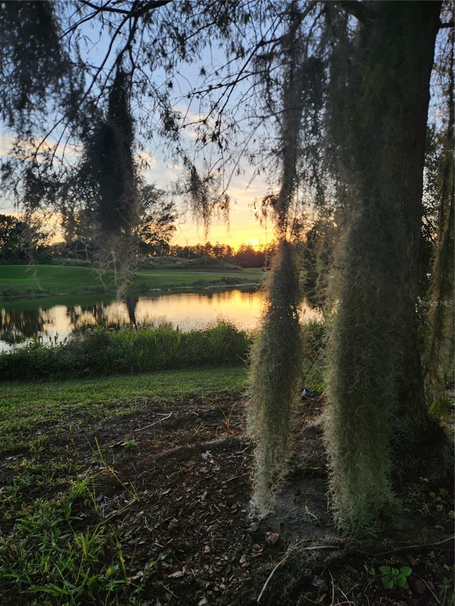 BIRCHWOOD NBHDS B & C - Residential Lease