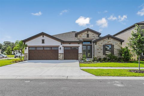 A home in RIVERVIEW