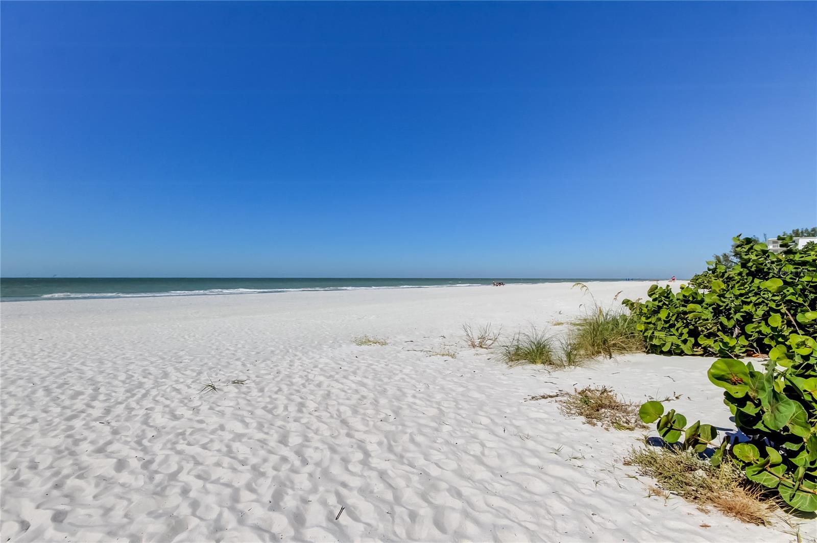 SUNPLACE CONDO - Residential