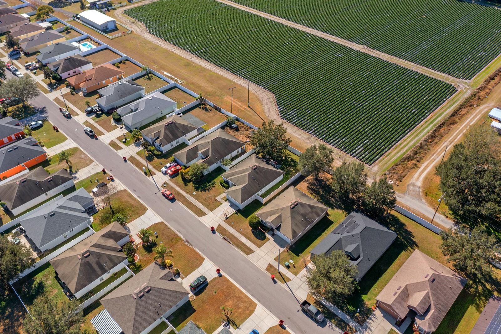 TRAPNELL RIDGE - Residential