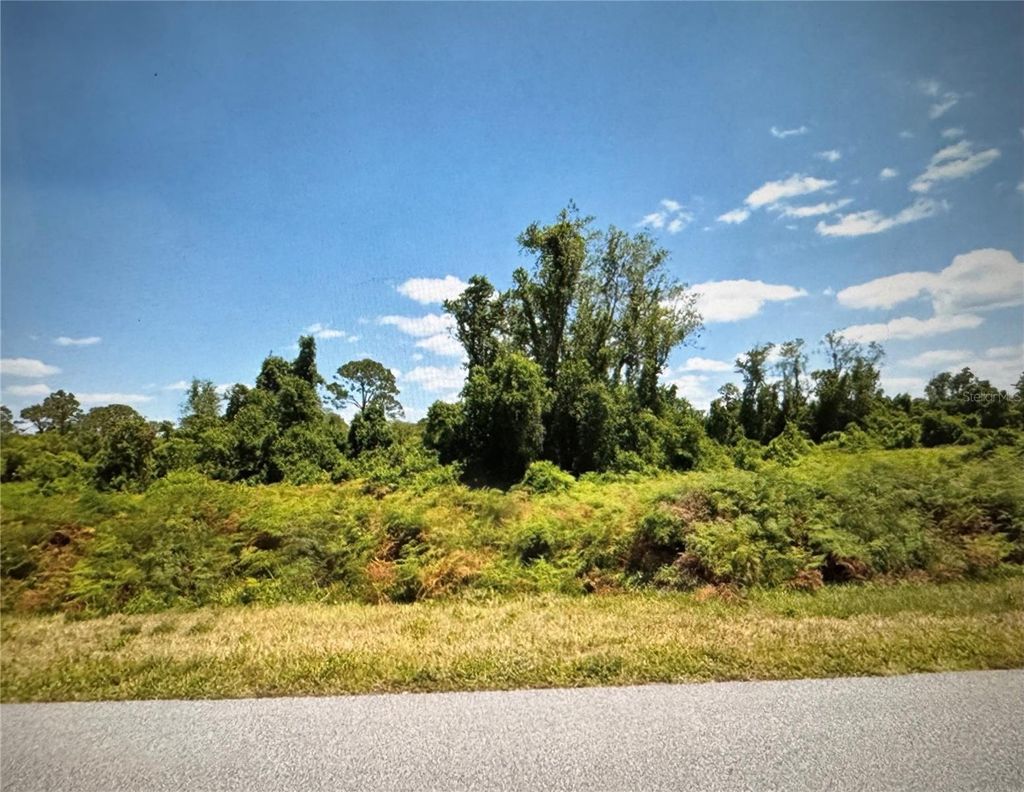 Photo of 449 Hallmark Avenue, Lake Placid, FL 33852 (MLS # OK225450)
