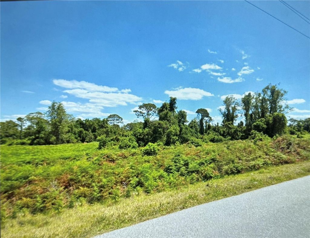 Photo of 449 Hallmark Avenue, Lake Placid, FL 33852 (MLS # OK225450)