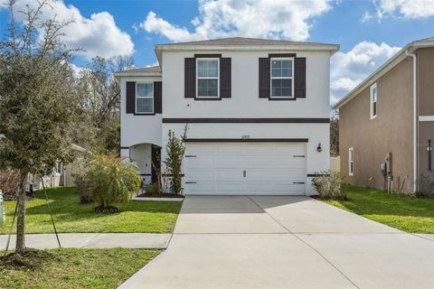 32871 BROOKS HAWK LANE WESLEY CHAPEL FL 33543
