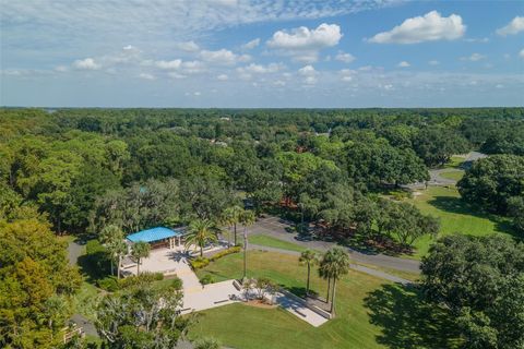 A home in PALM HARBOR