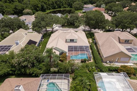 A home in PALM HARBOR