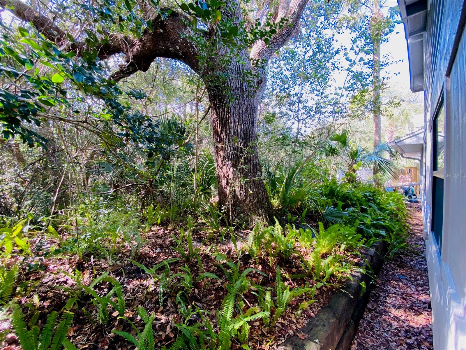 Seawoods Un 01 - Residential