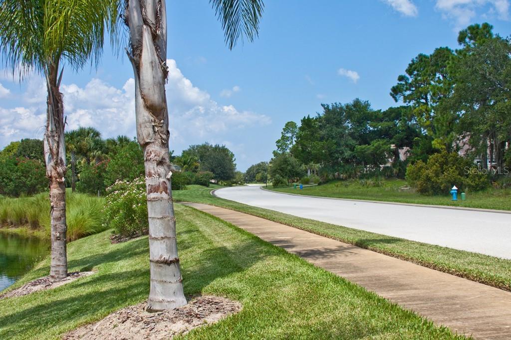 SANCTUARY SUB - Land