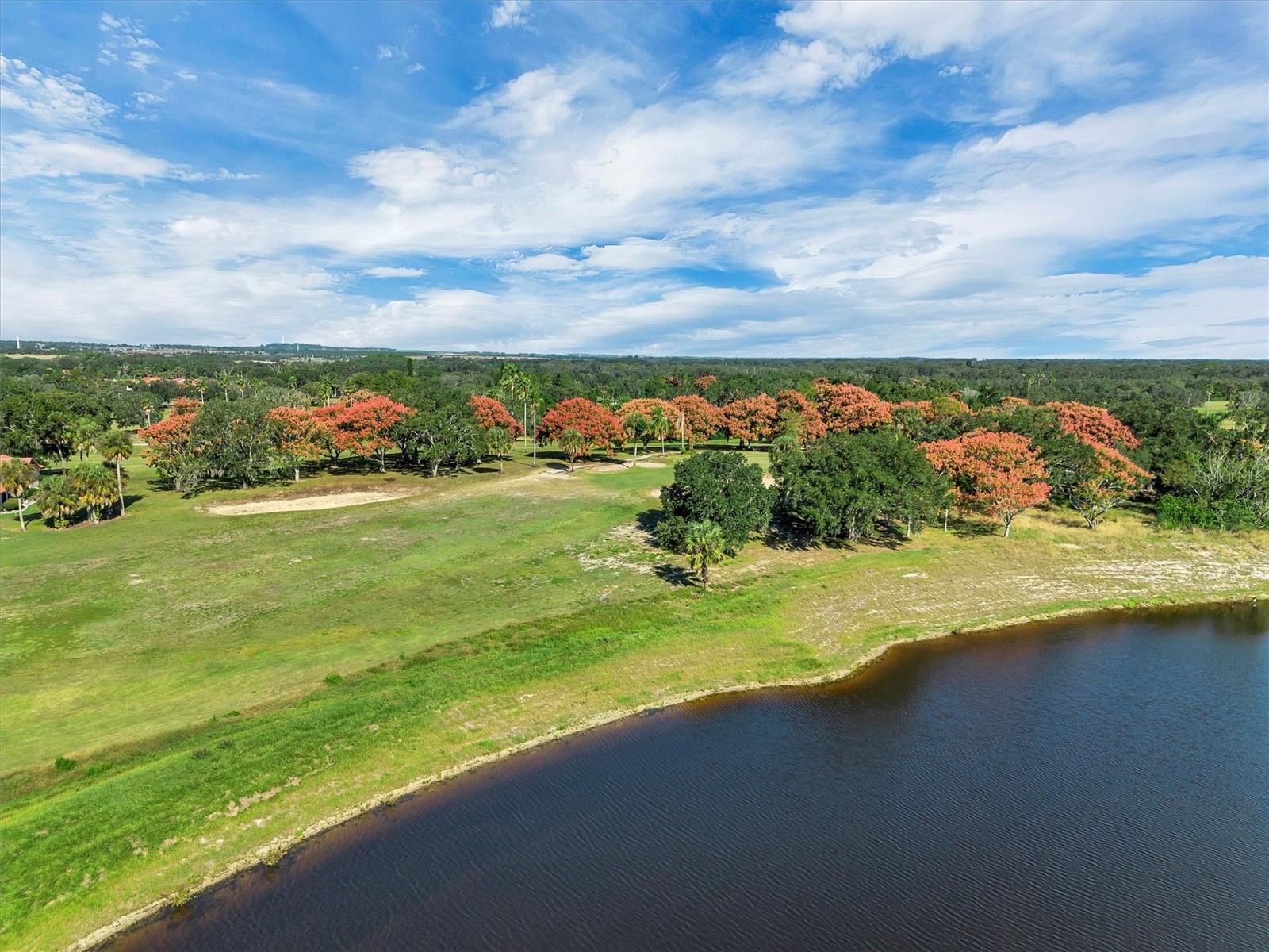 COUNTRY CLUB VILLAGE CONDO - Residential