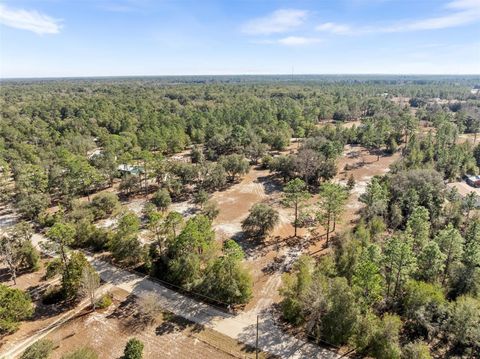 Tiny photo for 12750 NE 65th Street, Williston, FL 32696 (MLS # GC540701)