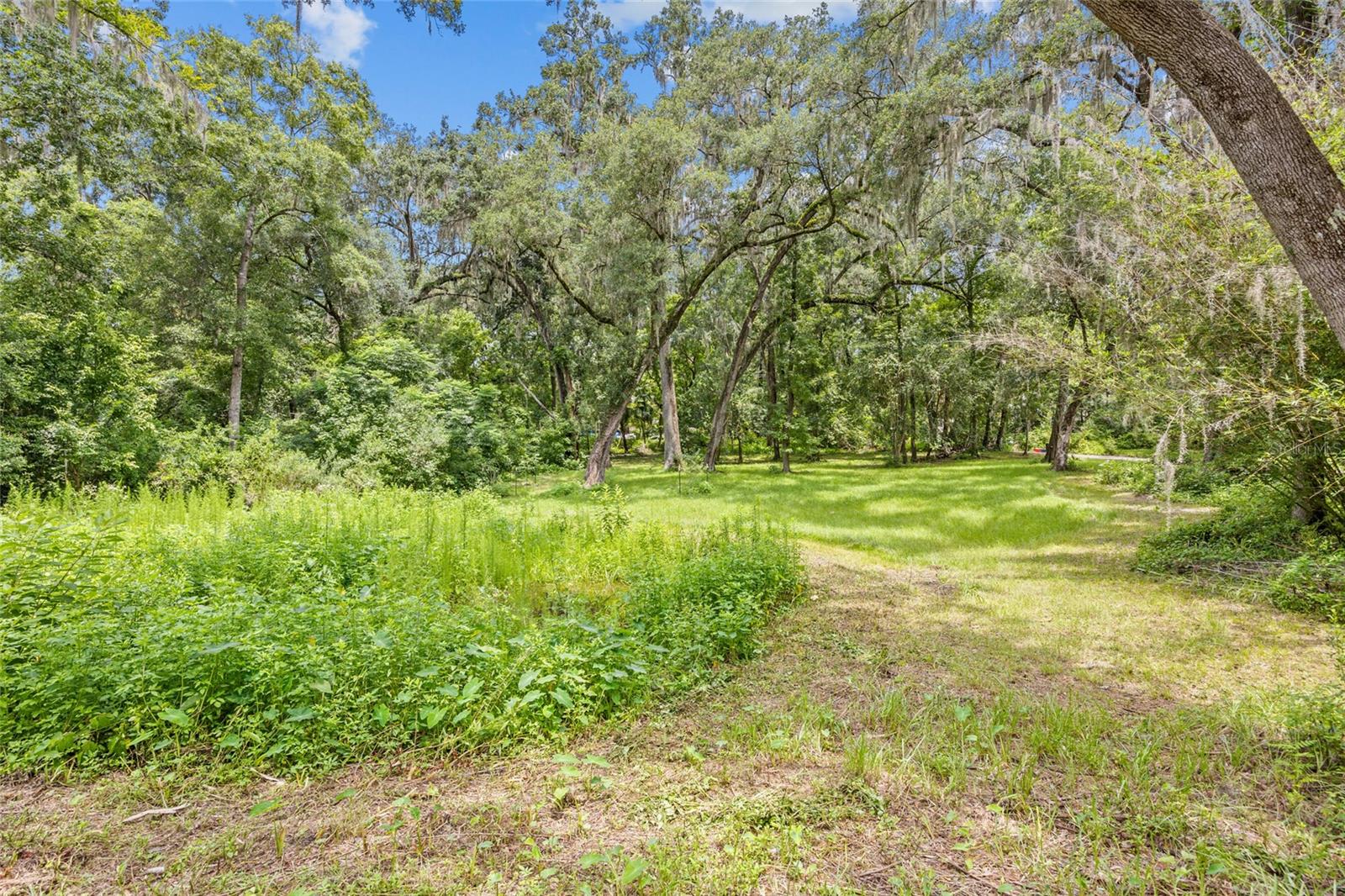 Imagine building your dream home on this vacant lot that is located right off of Clear Lake on your own .92 acres of privacy and giant live oaks watching the sunsets less than 2 miles from the University of Florida. City water is available for hook up.