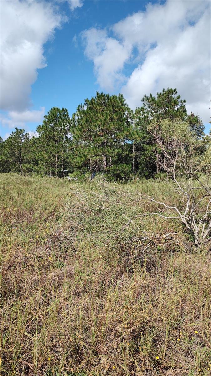 RAINBOW PARK UN 03 - Land