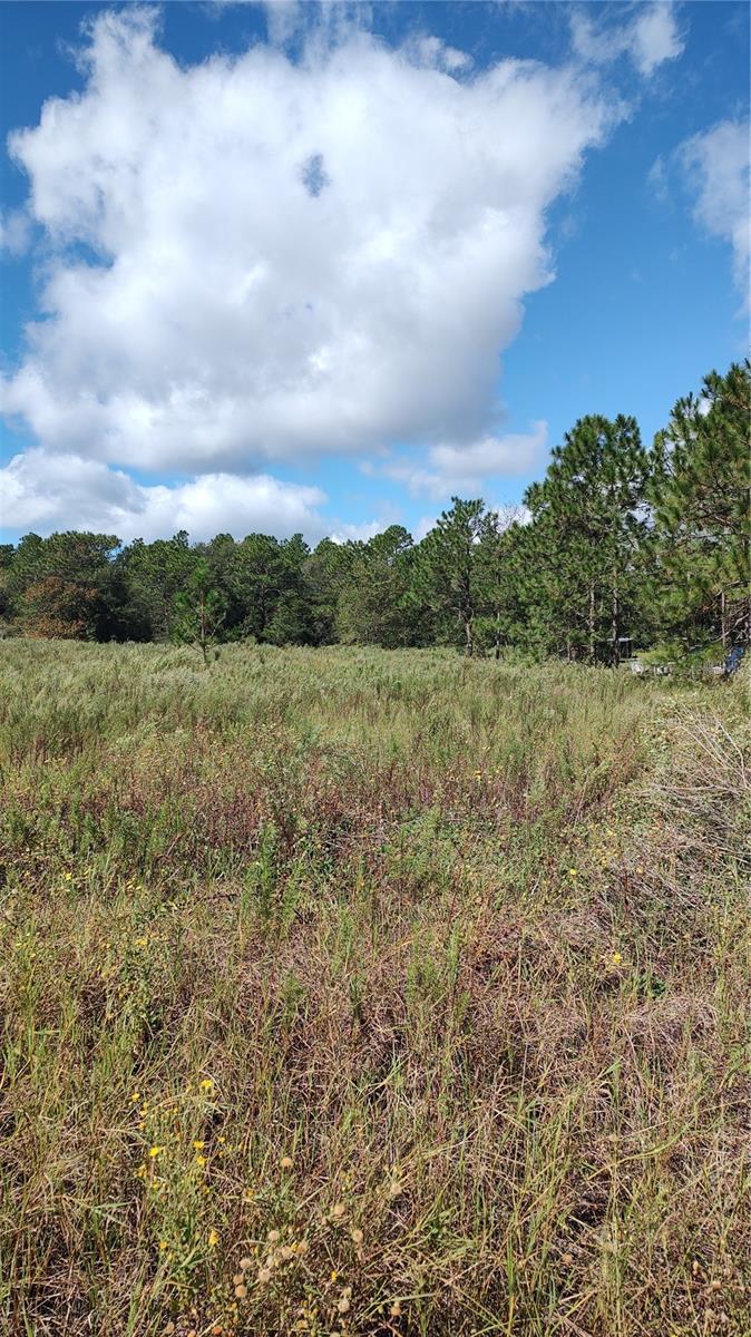 RAINBOW PARK UN 03 - Land