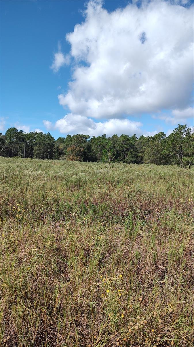 RAINBOW PARK UN 03 - Land