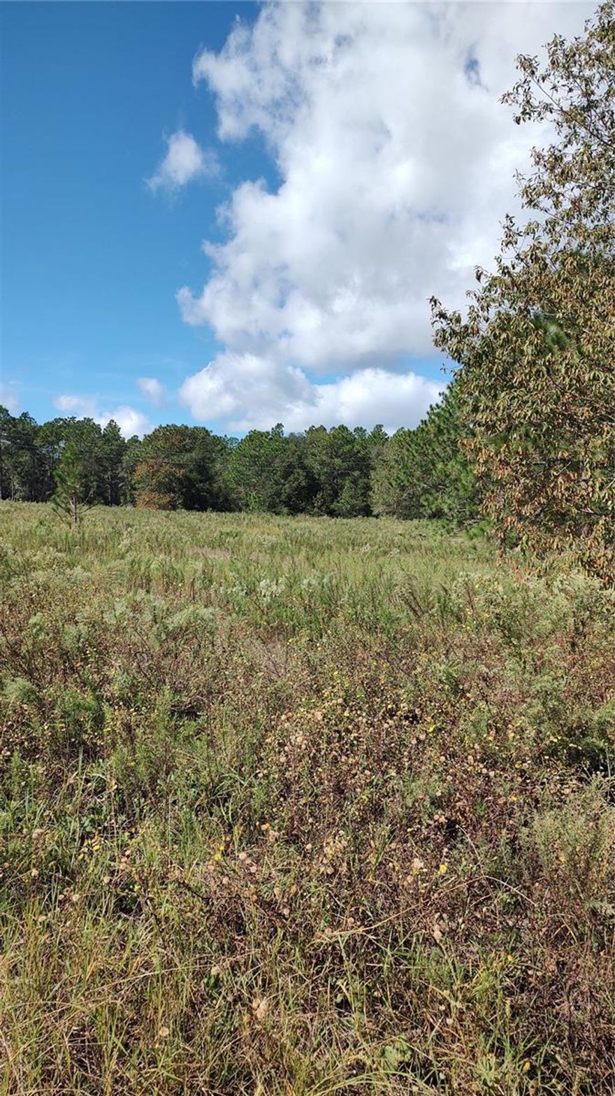 Excellent opportunity to purchase this mostly cleared homesite in a growing area. This neighborhood is nestled between majestic
pastures of grand horse farms. Midway between Ocala and Dunnellon this is a great location. Easy access to Rainbow Springs State
Park and the clear waters of the Rainbow River for swimming, kayaking, and hiking, or to the World Equestrian Center renown for
equestrian events, dog shows and numerous sports events. A short drive to shopping, dining, and medical services. Just off Hwy 40,
there is no HOA and no time limit to build, R-1 zoning allows for site-built homes only, no manufactured homes.